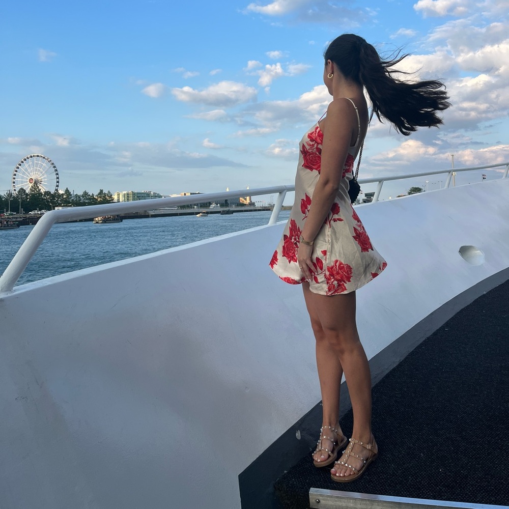 Meshki Rose Satin Dress